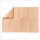 Dental Bib 13" X 19" 2 Ply Tissue With 1 Ply Poly Peach Case/500 Each - BeHope