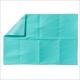 Dental Bib 13" X 19" 2 Ply Tissue With 1 Ply Poly Aqua Case/500 Each - BeHope