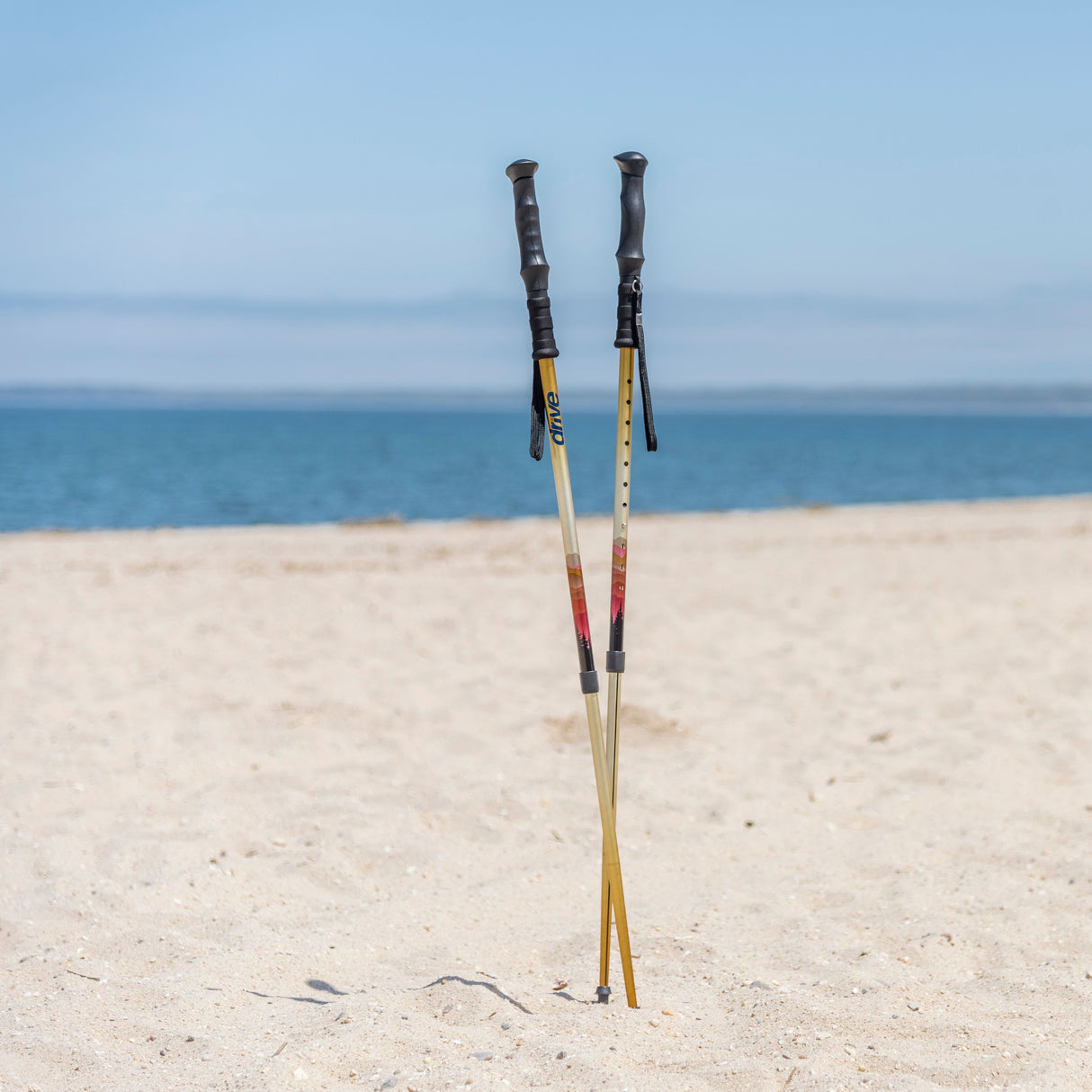 Summit Walking Poles - BeHope