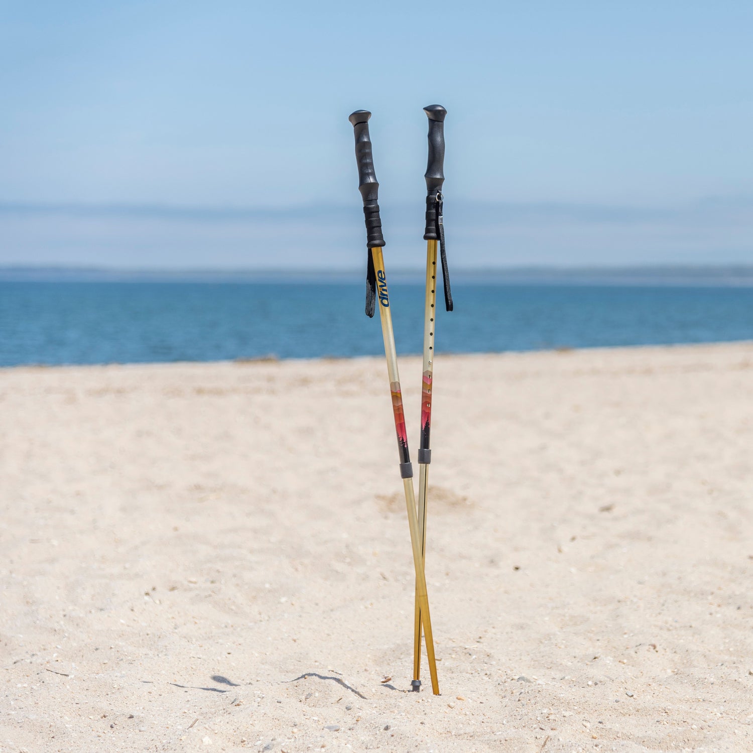 Summit Walking Poles - BeHope
