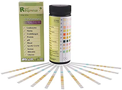 Rapid Response Urine Reagent Test Strip 10 Parameter Box/100 Each - BeHope