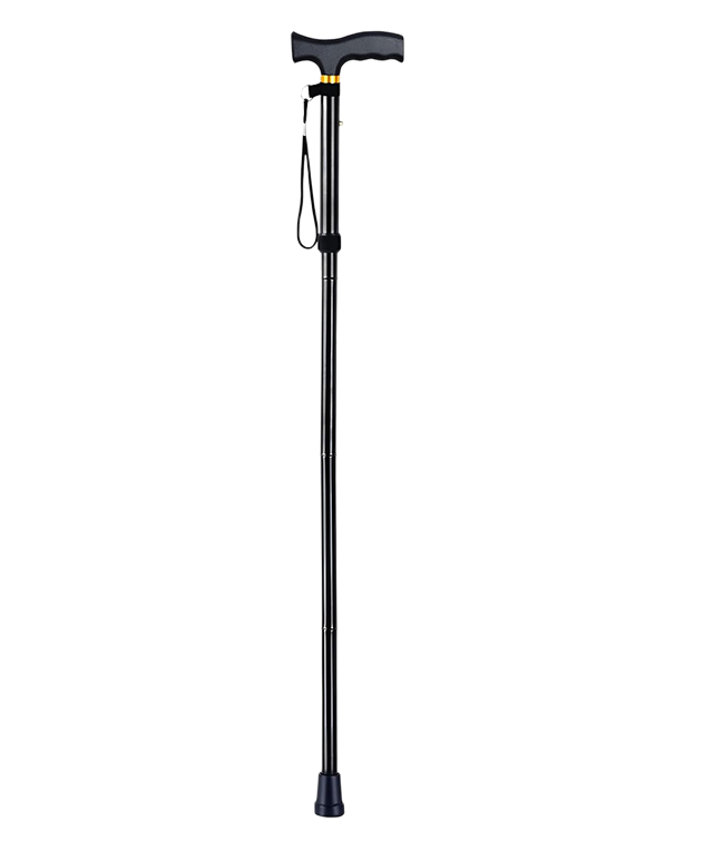 Folding Cane Black