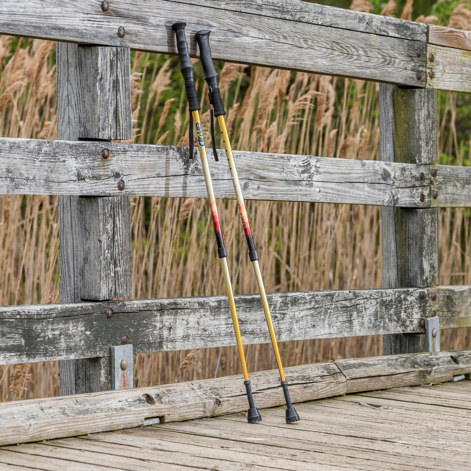 Summit Walking Poles - BeHope
