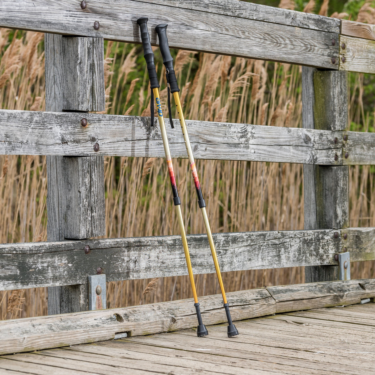 Summit Walking Poles - BeHope