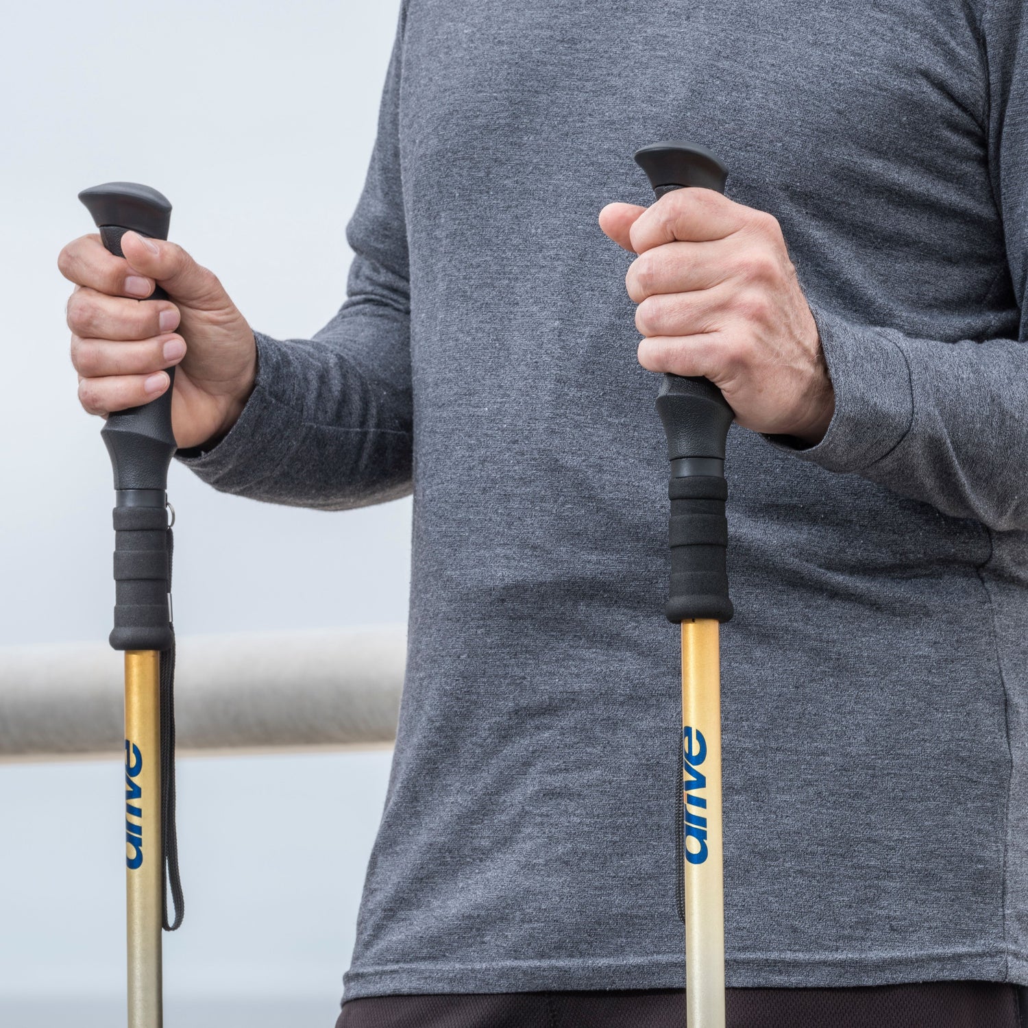 Summit Walking Poles - BeHope
