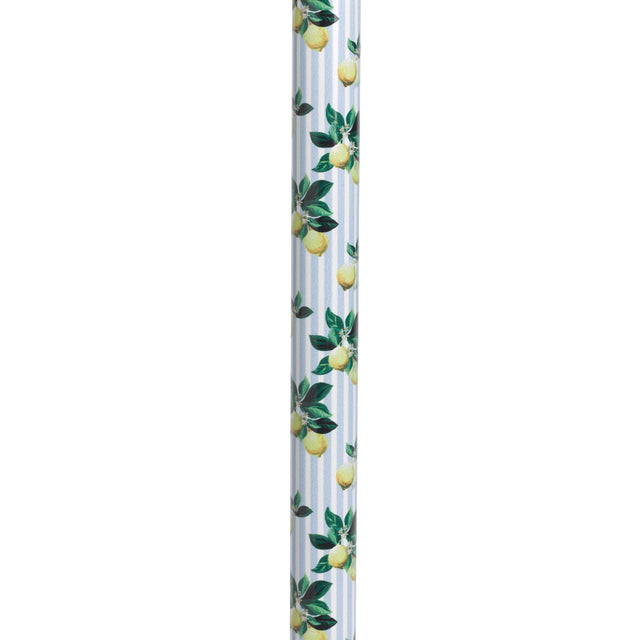 Comfort Grip T Handle Cane - BeHope
