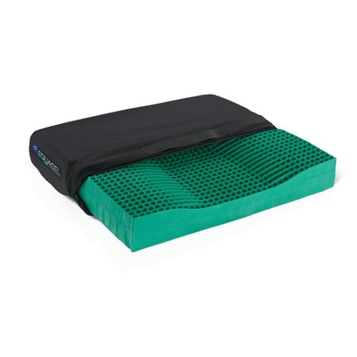 Coussins de chaise