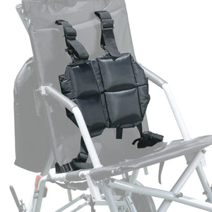 Adaptive Strollers 