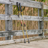 Drive Summit™ Walking Poles - BeHope