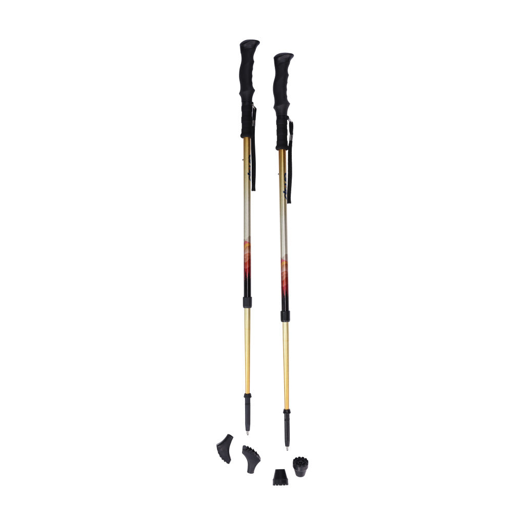 Drive Summit™ Walking Poles - BeHope