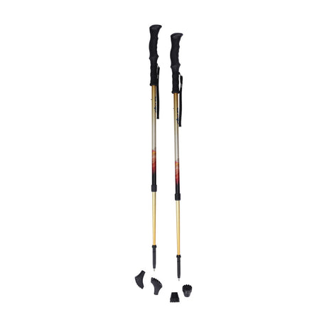 Drive Summit™ Walking Poles - BeHope