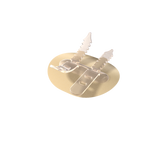 BX/30 CATHGRIP DOUBLE STRAP, MEDIUM, NON-STERILE, NO ALCOHOL WIPE, BILINGUAL PACKAGING - BeHope