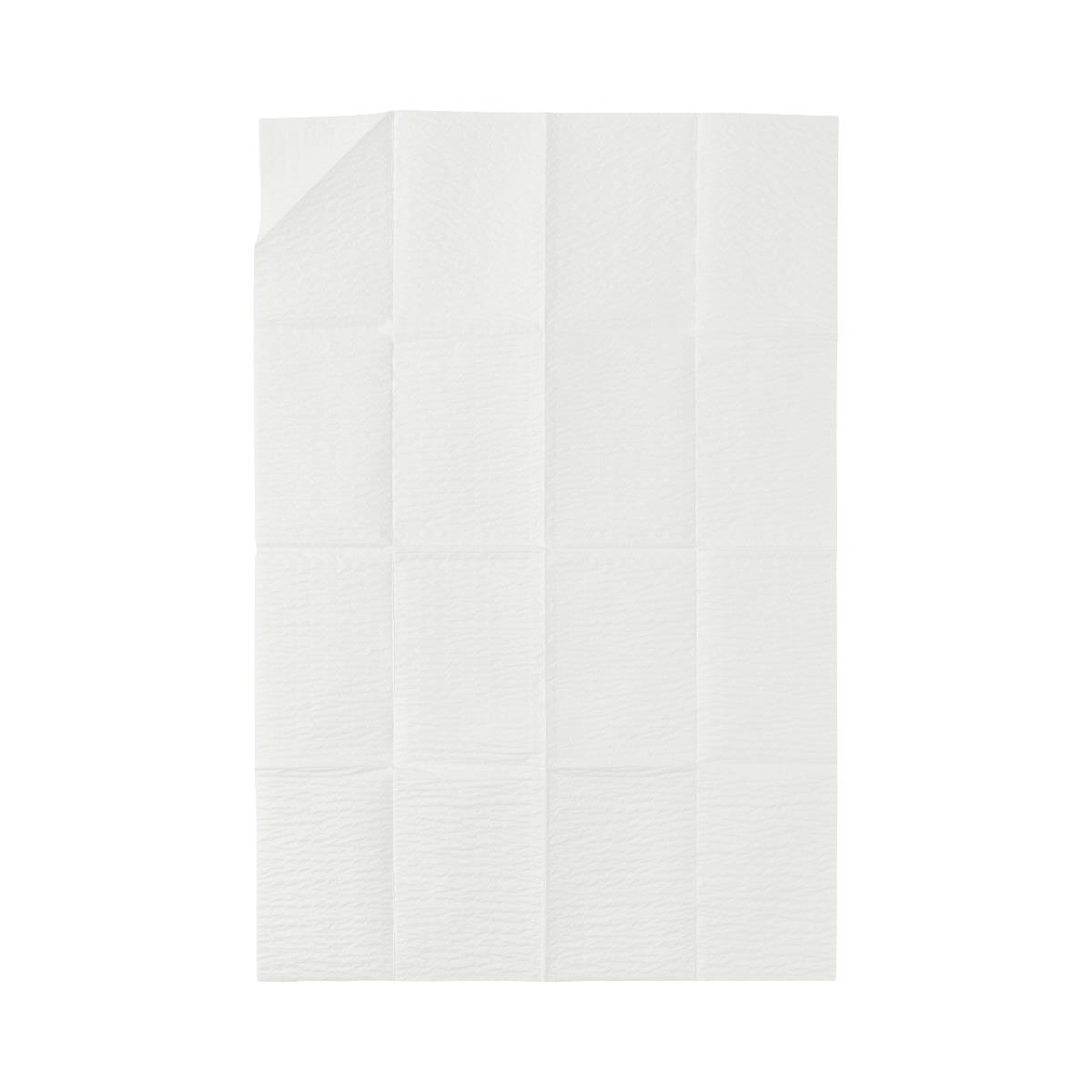 Proxima Absorbent Towels Package In 2's Sterile Case/200