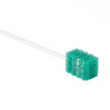 DenTips Oral Swabs