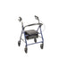 Steel Rollator With 6” Wheels, Knockdown - BeHope