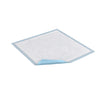 CS/6PKG (25/PKG) TENA EXTRA ABSORBENCY UNDERPADS, 23IN X 36IN - BeHope