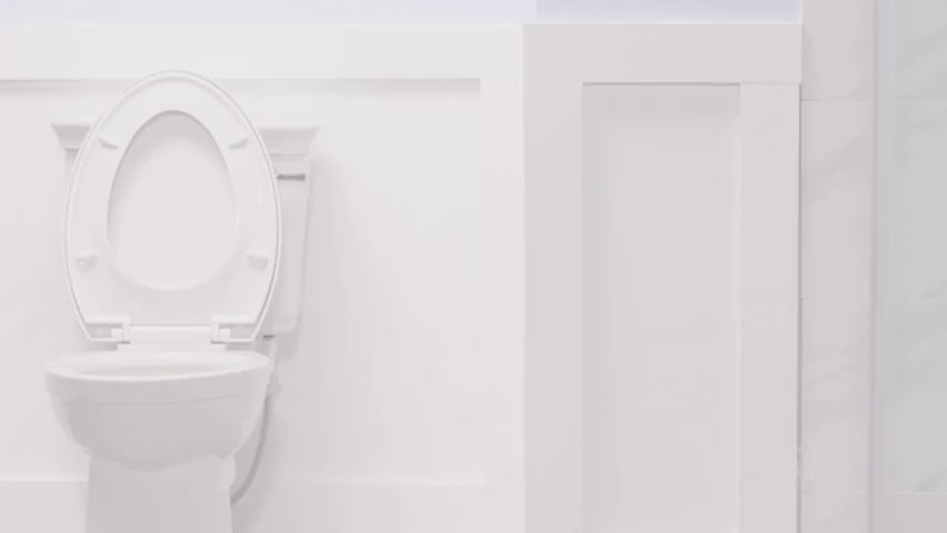 PreserveTech Raised Toilet Seat with Bidet - Behope